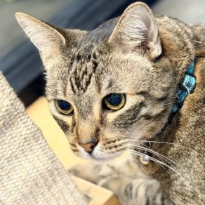 Ec6809f91c86dc2d49ecdb79f771b99b