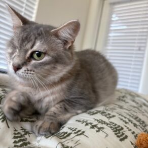 Edbc545b29bd2376ae0d7905be6febed