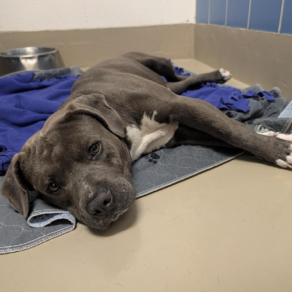 Eff2d94a539a2a34eabf363a013c56c7