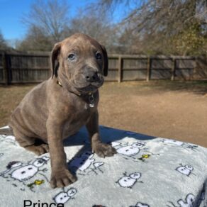 F11c9f5eb5fd9a6311f7879f7d078123