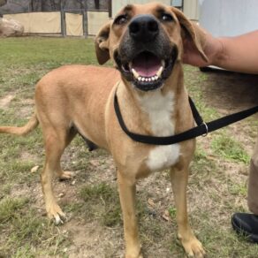 F386d53f7b4d12c74ae2b3de10f821fb