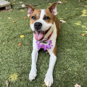 F4e10d6a34caaa324a6f30439eb7041e