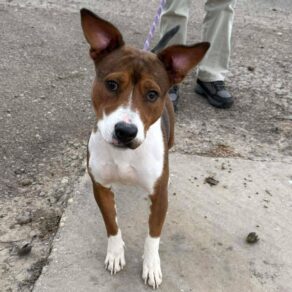 F5f35f7474a2ab11f372c25e7b199c7d