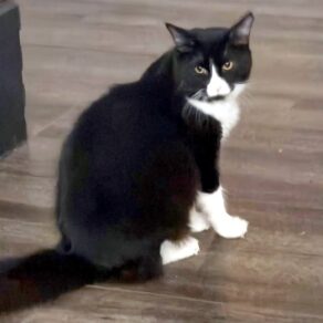 F6b0aae1b54d2a54ef464f34f84900ae