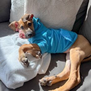 F99b6ca9989eeb5c57b2cf55d82d6192