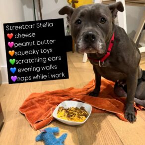 Faa71af22195620a89c030964591a1d8