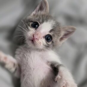 Fb6be68587f4c1fd5f2b9de0b64d1ac1