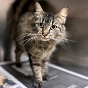 Fbe460f9644d468125f3be00ae92209a