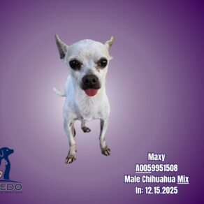 Fcbfcb854bd94aeb665e50952bc8cc07