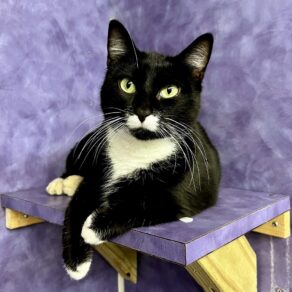 Fcfcb053a095432d6586728a4af8f01f