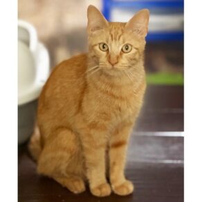 Fe30c5fa1f951553276d8eb515c1ec4f