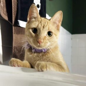 Fe7c6b761577dbae3e056d6c59735551